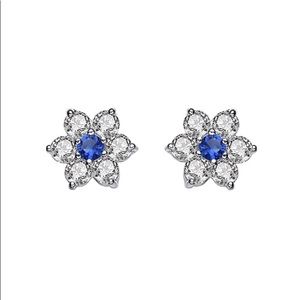 💎 Genevive .925 Silver Crystal Earrings 💎